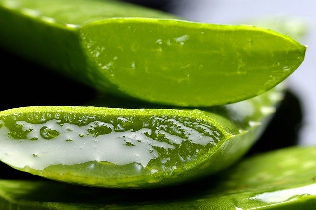 Herbalife Onlineshop, Herbalife Shake, Herbalife Aloe Vera, Herbalife kaufen.